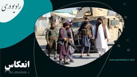 بن بست کامل مذاکرات حکومت طالبان و پاکستان 