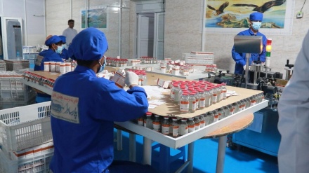 گام‌های استوار هرات به‌سوی خودکفایی در تولید دارو