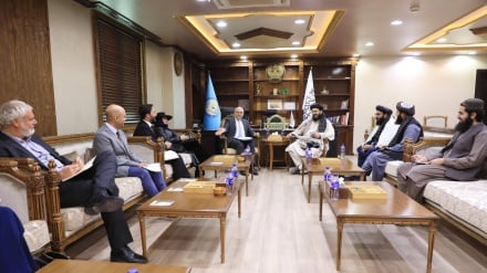 دیدار مقام طالبان با نماینده اتحادیه اروپا در کابل و تأکید بر گسترش روابط دو جانبه