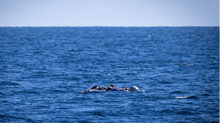 Wabangladesh 32 waokolewa katika maji ya Libya