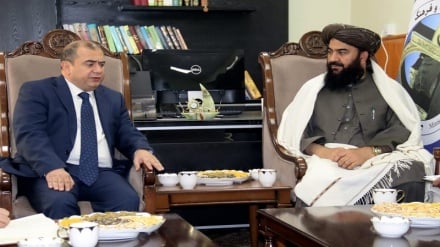 آذربایجان بر گسترش همکاری با افغانستان تأکید کرد