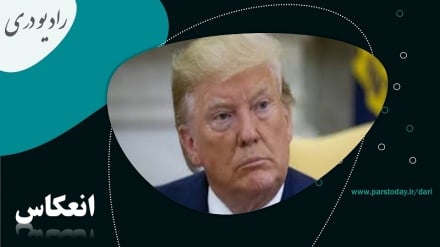 واکنش ها به توهین دونالد ترامپ به مردم افغانستان 