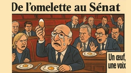 Satire Sombre| De l’omelette au Sénat: l’œuf, nouvelle victime de la politique américaine