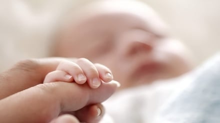 Ирандағы медицина ғылымының кереметі; әлемдік деңгейдегі бедеулікті емдеу