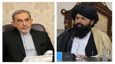 تأکید ندیم بر توسعه همکاری‌های علمی و دانشگاهی میان افغانستان و ایران