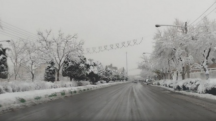 پاییز مشهد ختم به‌خیر شد؛ هدیه برفی شب چله‌ به مشهدی‌ها