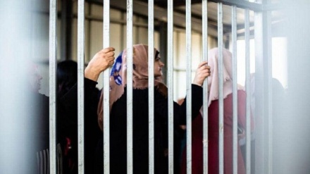 کمیته‌های مقاومت فلسطین: حمله به اسرای زن و هتک حرمت آنها جنایت جنگی تمام‌عیار است