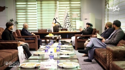 ایران و افغانستان در مسیر تولید مشترک انرژی پاک رایزنی کردند