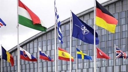 NATO Ukrayna Çıkmazında; Rusya’nın Baskısı ve Amerika’nın Tereddütleri Arasında Bir Koalisyon