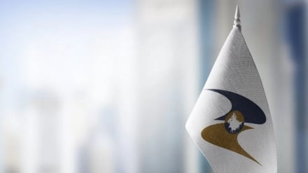 ԵԱՏՄ երկրներում երկարաձգվել է անմաքս առևտուրը առցանց հարթակների միջոցով