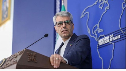 بقائی: اقدام آمریکا مصونیت‌بخشی به جنایتکاران تحت تعقیب است