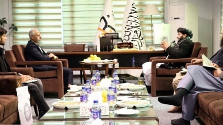 برشنا: حوزه انرژی در افغانستان آماده حضور شرکت‌های ایرانی است