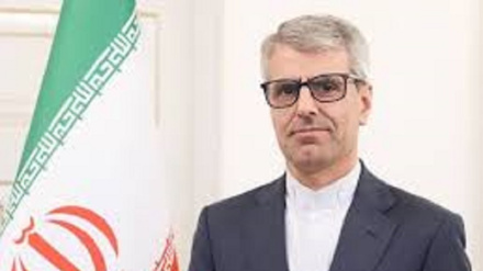 بقایی: تعرض آمریکا به شناور حامل نفت ونزوئلا مصداق «دزدی دریایی دولتی» است