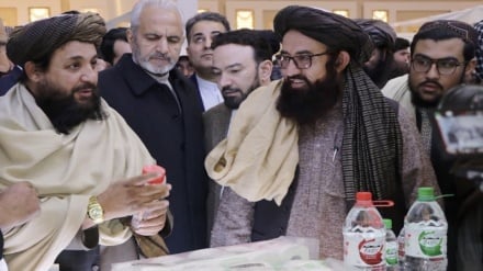 سیزدهمین نمایشگاه «صحت افغان» در کابل گشایش یافت