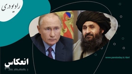 تمجید رئیس جمهوری روسیه از عملکرد طالبان و سیاست مسکو در قبال حکومت طالبان 