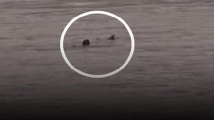 حادثه تلخ در دریای کوکچه؛ تلاش برای نجات جان پدر و پسر ناکام ماند