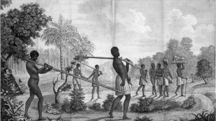 خریداران آفریقایی چگونه روندهای تجارت جهانی را شکل دادند؟