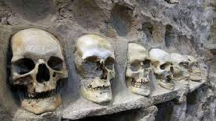 آفریقا در پی عدالت تاریخی و غرامت استعمار