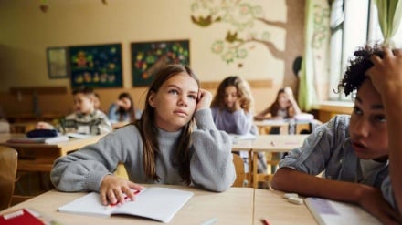 Satire Sombre|La France et son école : quand les notes font grève