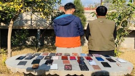 بازداشت سارقان ده‌ها گوشی تلفن همراه در ننگرهار