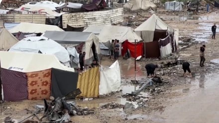 ארגון אדאמיר : 60% מהאוהלים בעזה אינם ראויים לשימוש ו-90% מהמקלטים הוצפו במים