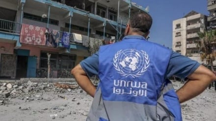 Delapan Negara Islam Menentang AS: UNRWA Tidak Boleh Dilemahkan!