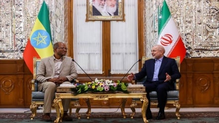 ایران و اتیوپی روابط سیاسی و اقتصادی را توسعه می‌دهند