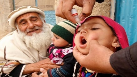 آغاز کمپاین چهار روزه واکسن پولیو در هرات؛ گامی در مسیر ریشه‌کنی فلج اطفال در افغانستان   