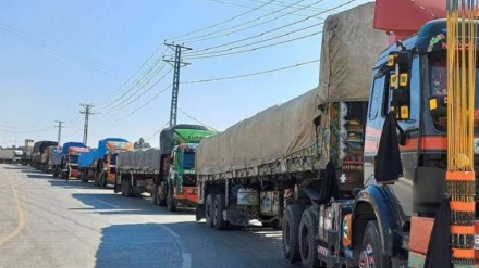 له افغانستان سره د سرحدی لارو د تړل کیدا له امله اسلام آباد ته ۴.۵ میلیارد ډالر زیان رسیدلی دی 