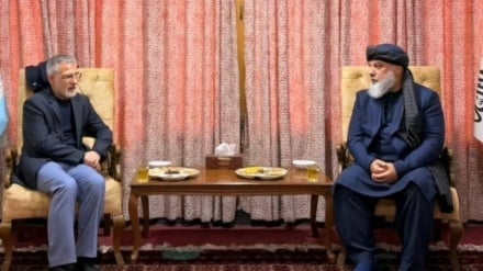 په ایران او افغانستان کې د سوداګریزو ملګرتیاؤپه پراختیاټینګار شوی 