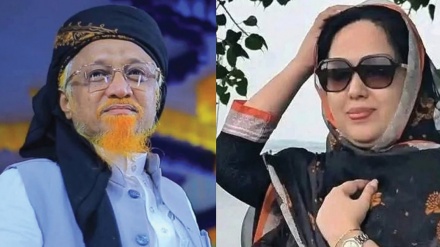 স্বতন্ত্র প্রার্থী হিসেবে লড়বেন রুমিনসহ বিএনপির তিনজন