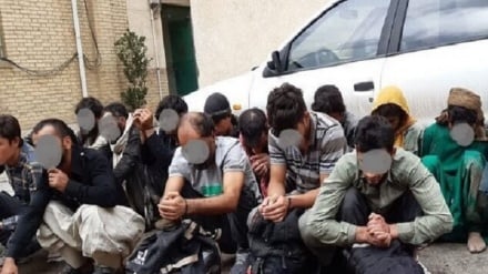 بازداشت حدود ۴۰۰ نفر در هرات به اتهام مهاجرت غیرقانونی به ایران