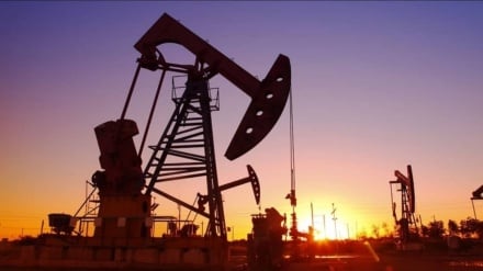 Afrika Ekonomisi | Tunus ile Suudi Arabistan arasında beş ekonomik anlaşma imzalandı / Cezayir’in petrokimya sanayisine 7 milyar dolarlık yatırımı