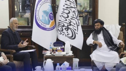 رایزنی مقامات ایران و افغانستان برای توسعه همکاری‌های اقتصادی و معدنی 