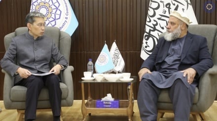 وزیر صنعت و تجارت طالبان با سفیر چین دیدار کرد؛ تأکید بر گسترش همکاری‌های اقتصادی