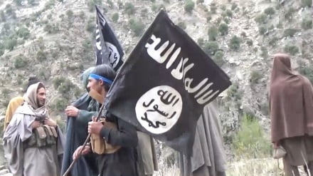 سازمان ملل متحد: جنگ داعش از کوه‌ها به شهرهای افغانستان منتقل شده است