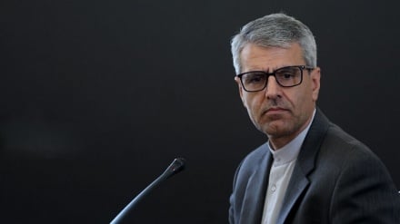 بقائی: تحریم‌ها و اقدامات یکجانبه، مصداق جنایت علیه بشریت‌ است