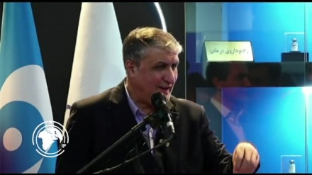 Իրանի ատոմային էներգիայի կազմակերպության ղեկավարը հայտարարել է երկրում ռադիոդեղագործական 70 տեսակի արտադրանքի արտադրության մասին