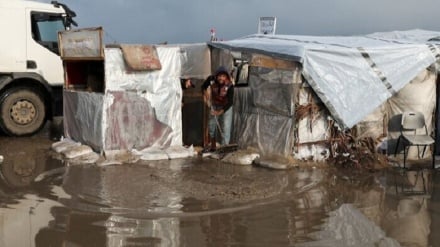 بارندگی و سیل شدید در غزه؛ جان بیش از ۸۰۰ هزار فلسطینی در خطر است