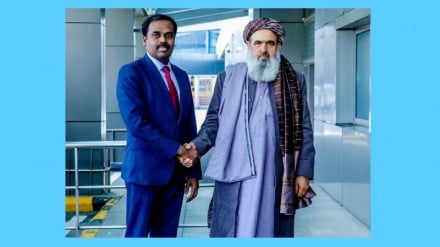 وزیر صحت عامه طالبان به هند سفر کرد