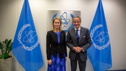 Գրոսսին խորհրդակցել է Կալասի հետ Իրանի հարցով
