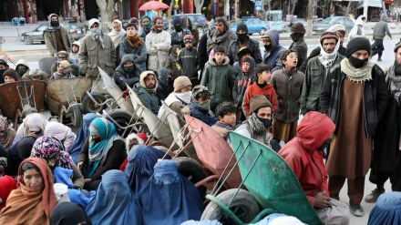  هشدار «فائو» به گسترش دامنه گرسنگی در افغانستان