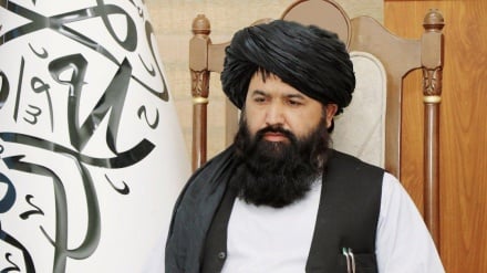  د افغانستان د لوړو زده کړو وزیر ایران ته را رسیدلی