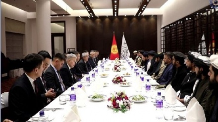 طالبان و قرقیزستان افزایش مبادلات تجاری دوجانبه را پیگیری می‌کنند