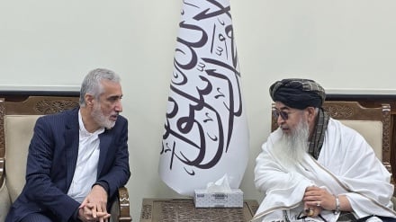 د ایران د خوړو او درملو د سازمان مشر کابل ته تللی