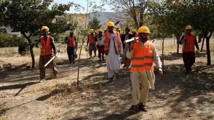 صدور بیش از ۳۵ هزار جواز کار برای شهروندان در افغانستان