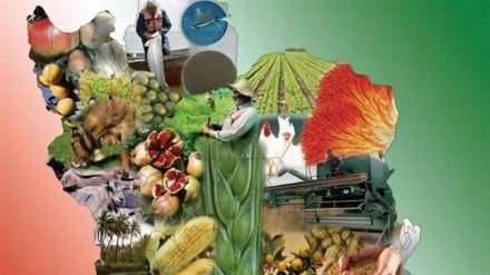 Utayari wa Iran wa kuanzisha mtandao wa nchi za Kiislamu wa bioteknolojia na kuimarisha usalama wa chakula