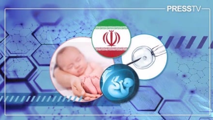L’Iran, nouveau pôle mondial de la fertilité entre innovation et excellence scientifique