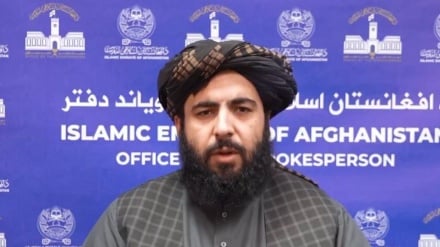 مهر تأیید طالبان بر گزارش یوناما از تلفات غیرنظامیان افغان در حملات پاکستان