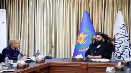 کمک دو و نیم میلیاردی سازمان ملل برای حل مشکلات مهاجران بازگشته به افغانستان